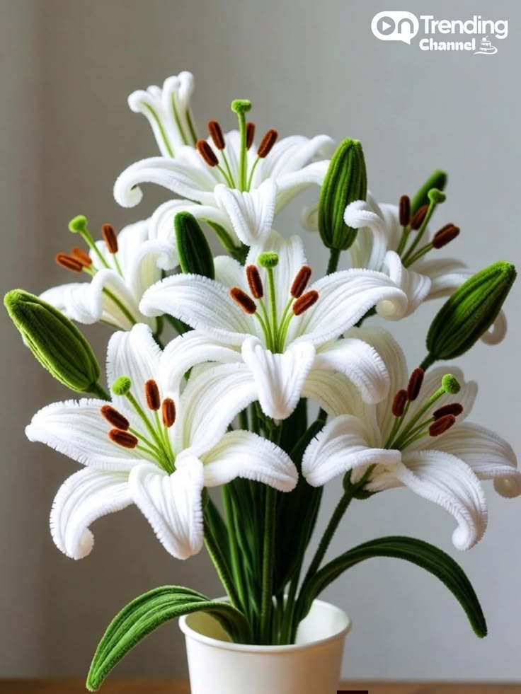 bunga tulip putih