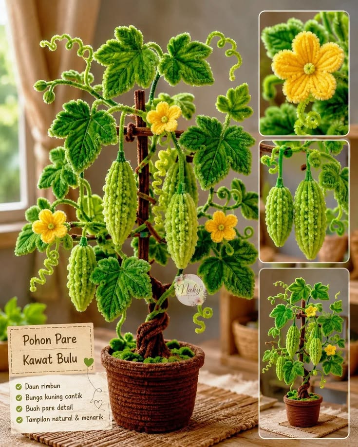 Pohon Pare Kawat Bulu